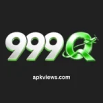999Q Game